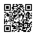 09553156612741 QRCode