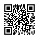 09691825310 QRCode