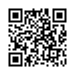 1-1624200-1 QRCode