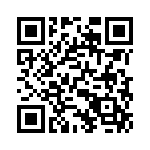 10-117931-20X QRCode