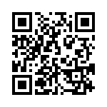 10-87332-17P QRCode