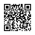 10-87336-4P QRCode