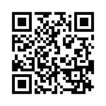 10-9513-10H QRCode