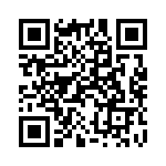 100108-4 QRCode