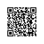 10028916-4554P00 QRCode