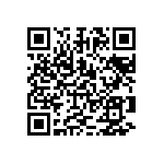 1003P1T1B5M1QEH QRCode