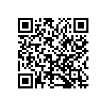 1003P2T6B11M1QE QRCode