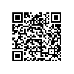 1004P3T1B1M7QEH QRCode