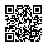 100B101KT500XT QRCode