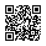 101-1295 QRCode