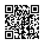 101243U040BF2B QRCode