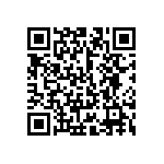 101C133T200DE2B QRCode