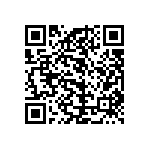 101C242T200BB2B QRCode