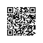 101C513U100DF2B QRCode