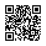 102010128 QRCode