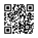 102S42E5R1DV4E QRCode