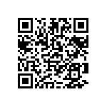 1111J2K02P70DQT QRCode