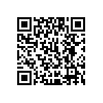 1111J2K06P20HQT QRCode