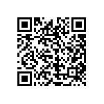 1111J2K09P10DQT QRCode