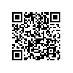 1111J3001P40BQT QRCode