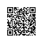 1111Y1K00160GQT QRCode