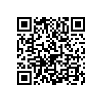 1111Y1K00161GQT QRCode