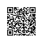 1111Y1K00161JQT QRCode