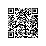 1111Y1K00510KQT QRCode