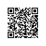 1111Y1K00620KQT QRCode