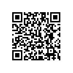 1111Y1K00820JQT QRCode