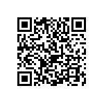 1111Y1K01P80CQT QRCode