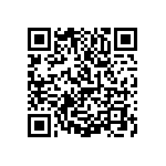 1111Y1K02P70HQT QRCode