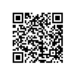 1111Y1K03P30DQT QRCode