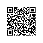 1111Y1K06P20CQT QRCode