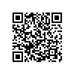 1111Y1K08P20BQT QRCode