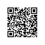 1111Y1K0P600BQT QRCode