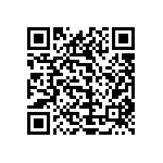 1111Y2000300KQT QRCode