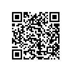 1111Y2006P20BQT QRCode