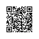 1111Y2500111GQT QRCode