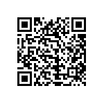 1111Y2500200JQT QRCode