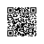 1111Y2500300JQT QRCode