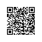 1111Y2500331KQT QRCode