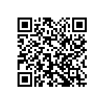 1111Y2500441GQT QRCode