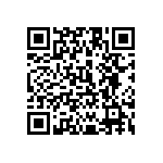 1111Y2500441KQT QRCode