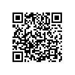 1111Y2502P70BQT QRCode