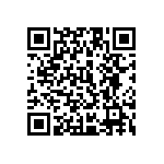 1111Y2506P20DQT QRCode