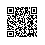 1111Y2K00100KQT QRCode