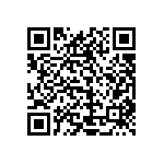 1111Y2K00120FQT QRCode