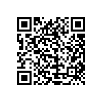 1111Y2K00300FQT QRCode