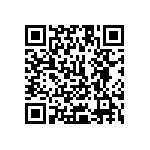 1111Y2K01P80DQT QRCode